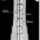 Image for article titled Four Famed American Structures That Almost Looked Radically Different